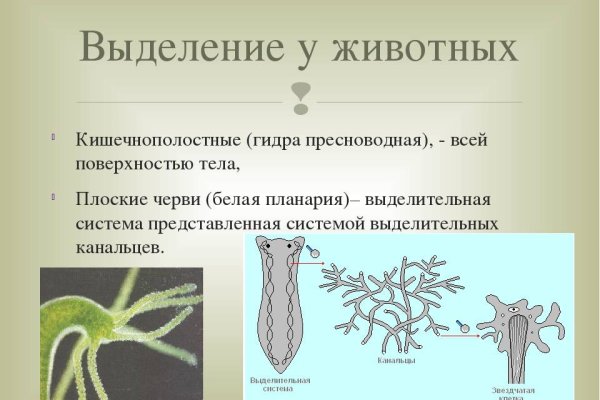 Правила модераторов кракен площадка
