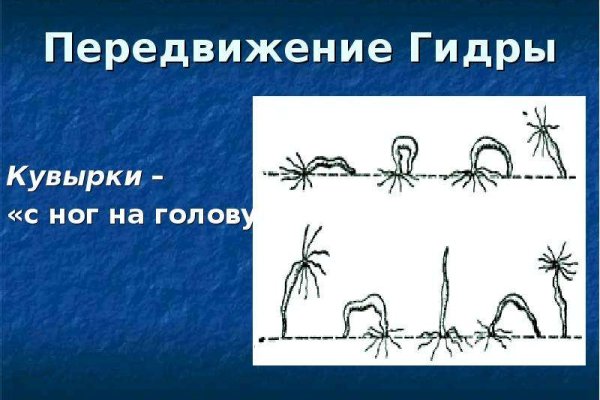 Kraken onion darknet zerkalo